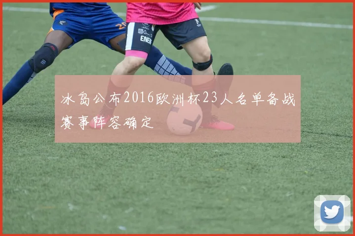 冰岛公布2016欧洲杯23人名单备战赛事阵容确定