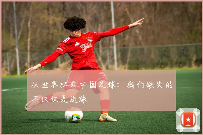 从世界杯看中国足球：我们缺失的不仅仅是进球