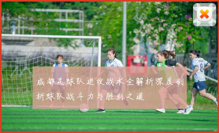 成都足球队进攻战术全解析深度剖析球队战斗力与胜利之道